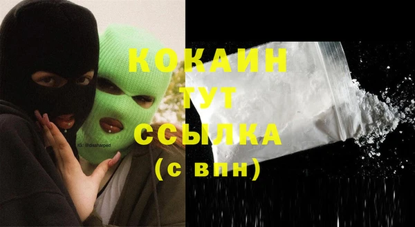 spice Белокуриха