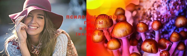 spice Белокуриха