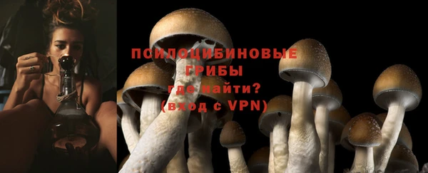 spice Белоозёрский