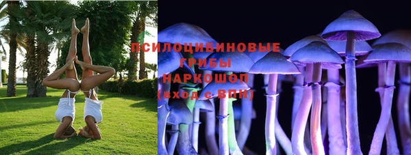 spice Белокуриха